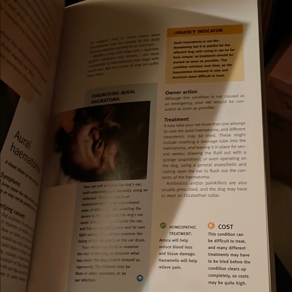 Comprehensive Health Care for Dogs by - White - Picture 6 of 11